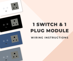 Smart Switch Installation Guide for 1 Switch and 1 Plug Module