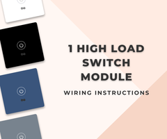 Smart Switch Installation Guide for 1 Switch Module