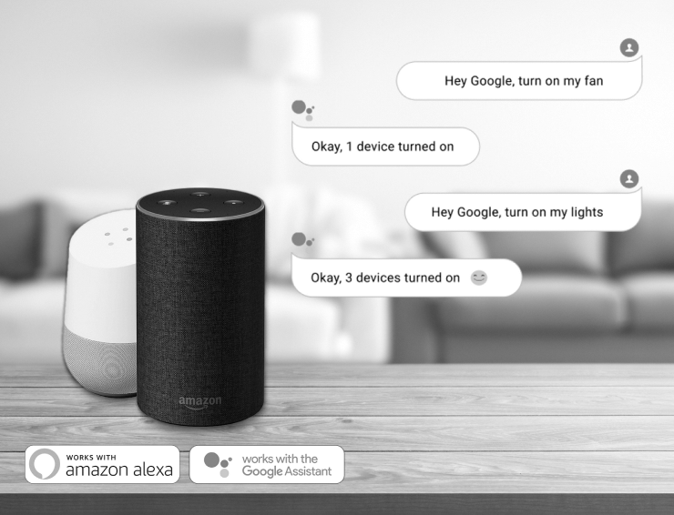 smart switch voice assistant 